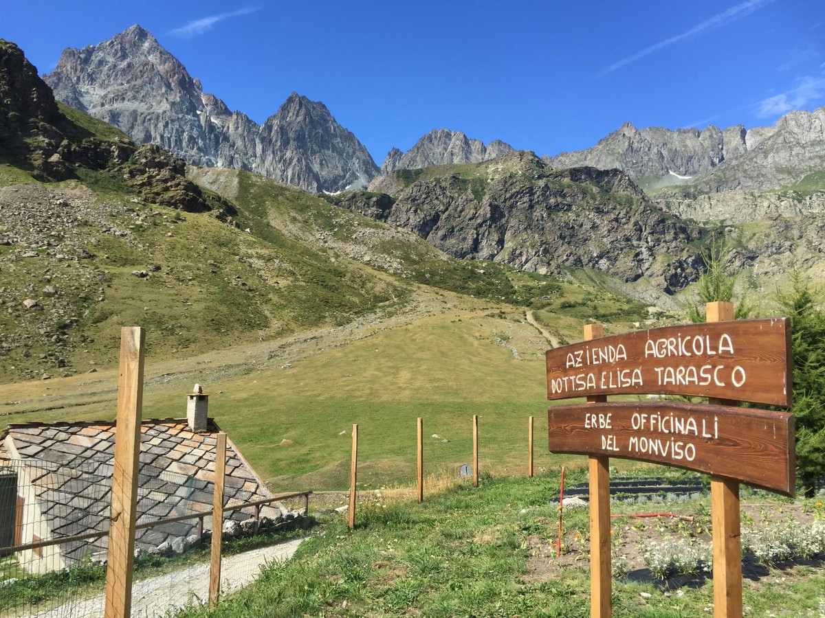 STORIE DI MONTAGNA/60 - Elisa, la chimica d'alta quota 