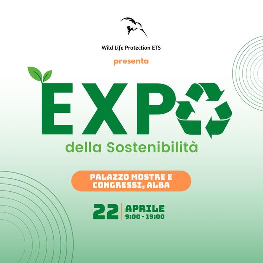 Alba Pronta Per L Expo Della Sostenibilit Ed Illumina Le Torri Di Verde Lavocedialba It