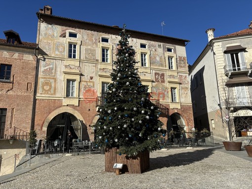 L'albero di Natale in piazza Maggiore a Mondovì che si accenderà per GinItaly