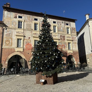 L'albero di Natale in piazza Maggiore a Mondovì che si accenderà per GinItaly