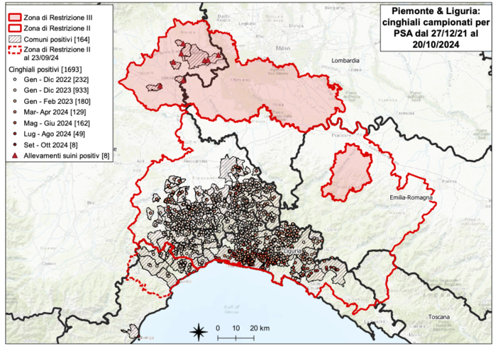 Peste suina: due nuove positività in Piemonte e Liguria, 1693 il totale dei casi positivi