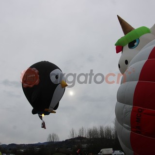 Le mongolfiere del Raduno Aerostatico colorano i cieli di Mondovì [FOTO E VIDEO]