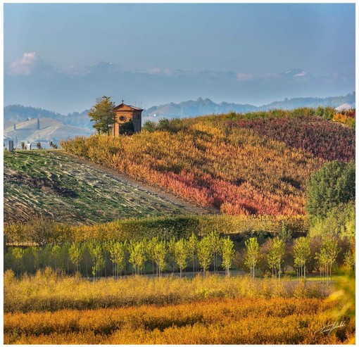 Foliage nel Roero (Foto di Tino Gerbaldo)