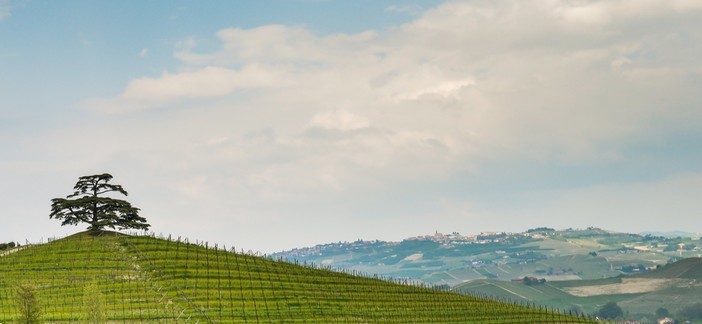 Il mercato immobiliare per stranieri è in forte ascesa nei territori di Langhe, Roero e Monferrato. Nella foto di Dave Carletti una veduta delle Langhe