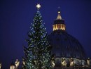 Da Macra a Roma per seguire l'Albero di Natale