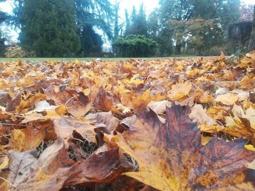 Domenica aprono i giardini storici della Granda