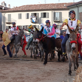 Alba: divieti di transito e di sosta per il Palio degli Asini