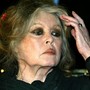 Brigitte Bardot scrive al medico dei ricci di Novello: &quot;Innamorata del vostro Centro&quot;