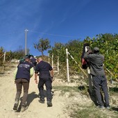 Nove le misure cautelari emesse nei confronti di altrettanti soggetti indagati nella recente inchiesta sullo sfruttamento del lavoro nei vigneti di Langhe e Roero