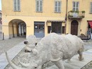 La scultura “Essere o avere”, raffigurazione di un pachiderma a grandezza naturale dell’artista Franco Alessandria