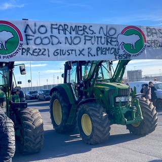 Agricoltori della Granda pronti a sfilare a Cuneo: &quot;Lavoriamo in perdita, il nostro settore sta morendo&quot;