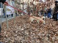 Nelle foto alcuni momenti della manifestazione promossa dall'Enoteca Regionale del Roero