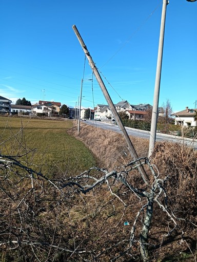 Una delle &quot;palificazioni fantasma&quot;, in frazione Cerialdo di Cuneo