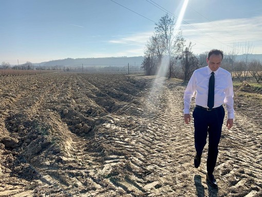 Il governatore Cirio: noto il suo parallelo impegno quale imprenditore titolare di un'azienda agricola prevalentemente impegnata nel settore corilicolo