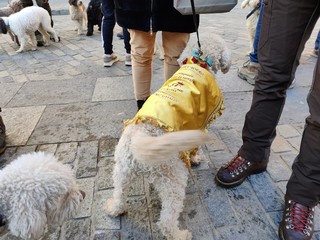 Nelle foto alcuni momenti della manifestazione promossa dall'Enoteca Regionale del Roero