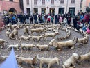 L'invasione dei cani di cartapesta ad Alba