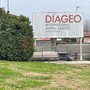 Lo stabilimento Diageo di Santa Vittoria d'Alba