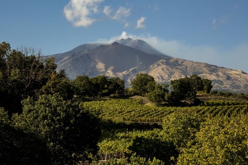 Etna &amp; Barolo: istituzioni e produttori siciliani ospiti nelle Langhe in occasione della Fiera del Tartufo