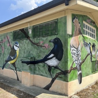 A Sommariva Perno il murales dedicato alla natura sulla cabina E-Distribuzione