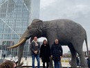 Dopo dieci anni di lavori riapre al pubblico il Museo di Scienze Naturali di Torino [VIDEO e FOTO]