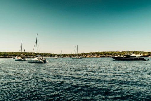 Naviga nei segreti dell'Isola dell'Asinara con Buriana Charter