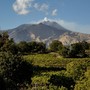 Etna &amp; Barolo: istituzioni e produttori siciliani ospiti nelle Langhe in occasione della Fiera del Tartufo