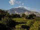 Etna &amp; Barolo: istituzioni e produttori siciliani ospiti nelle Langhe in occasione della Fiera del Tartufo