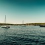 Naviga nei segreti dell'Isola dell'Asinara con Buriana Charter