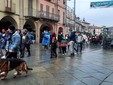 L'edizione 2025 della Fitwalking del Cuore di Saluzzo