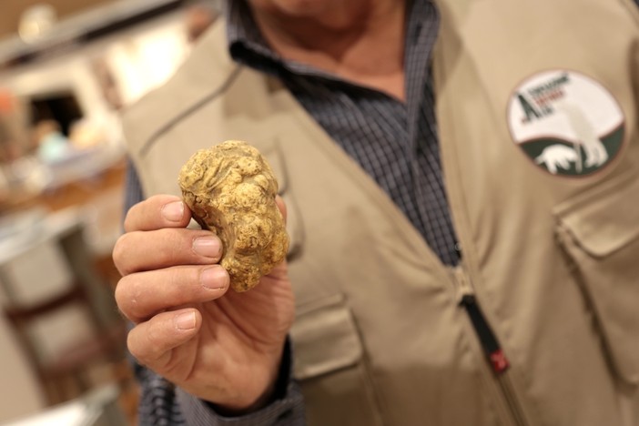 In corso la Fiera Internazionale del Tartufo Bianco d’Alba