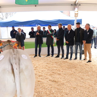 A Fossano una tre giorni per conoscere a ammirare la Razza bovina piemontese