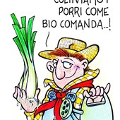 Cervere, dove si coltivano i porri... come &quot;bio&quot; comanda