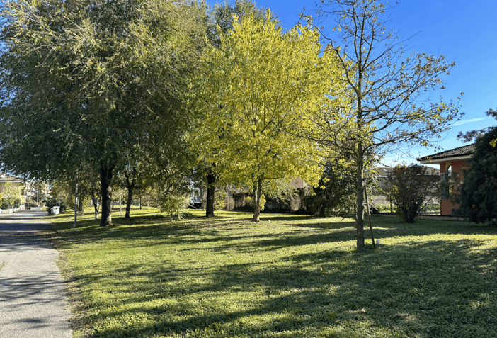 Cherasco celebra la Festa dell’albero raccontando il giardino di via Galimberti