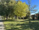 Cherasco celebra la Festa dell’albero raccontando il giardino di via Galimberti