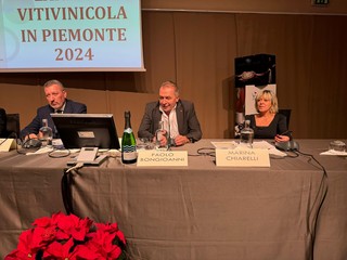 Alcune immagini della presentazione tenuta oggi al castello di Grinzane