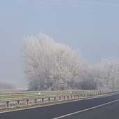 Da giovedì un assaggio di inverno: aria fredda e neve sulle Alpi