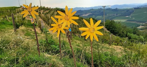 Passeggiate, burattini e sorprese: il 7 e l'8 ottobre un ricco programma a Mango