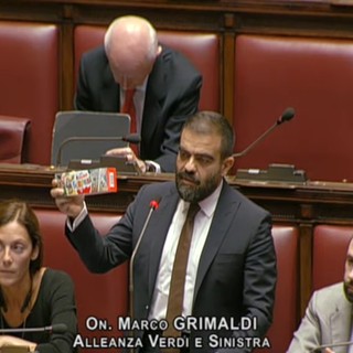 L'interrogazione del deputato torinese Marco Grimaldi