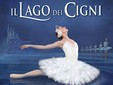 Il Lago dei Cigni in programma al Teatro Toselli di Cuneo