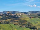 Le Langhe teatro di numerosi appuntamenti