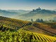 I vigneti delle Langhe - foto: Fondazione Radici