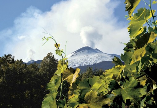 Alba, Etna &amp; Barolo: istituzioni e produttori siciliani ospiti in occasione della Fiera del Tartufo