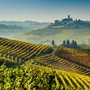 I vigneti delle Langhe - foto: Fondazione Radici