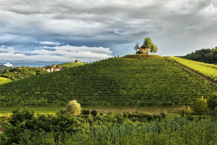 Premiato dal Ministero dell’Agricoltura con oltre 3 milioni di euro il Distretto del Cibo del Roero [VIDEO]