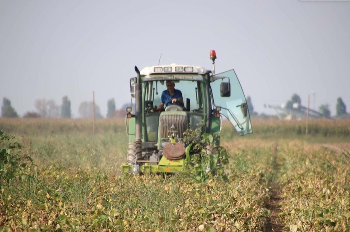 Contributi all'innovazione: oltre 7 milioni di euro per 390 aziende agricole della Granda