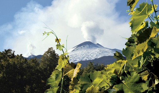 Alba, Etna &amp; Barolo: istituzioni e produttori siciliani ospiti in occasione della Fiera del Tartufo