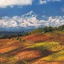 Foto Enzo Isaia - Associazione Paesaggi Vitivinicoli