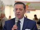 Luca Chiapella, presidente provinciale Ascom Confcommercio