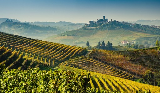 I vigneti delle Langhe - foto: Fondazione Radici