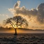 Antivigilia di Natale con il Foehn, poi sole (fino alla fine dell'anno?)